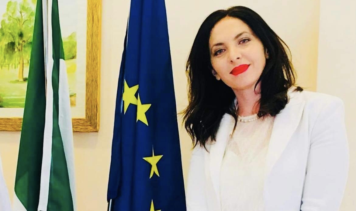 იტალიაში არსებული სოციალური პაკეტები, შეღავათები და მისი გამოყენების გზები ქართველი ემიგრანტებისთვის